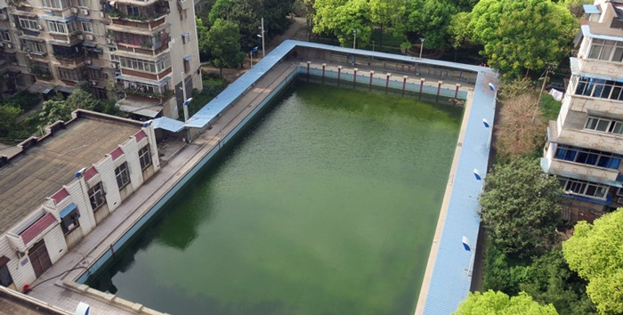 游泳池水變綠是什么原因？游泳池水處理方法