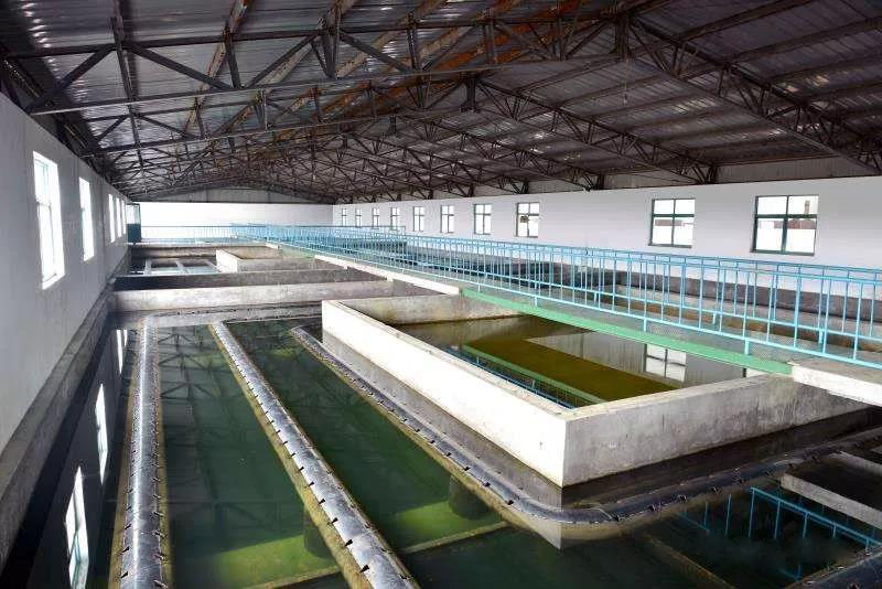 什么是制糖廢水？制糖廢水處理技術(shù)