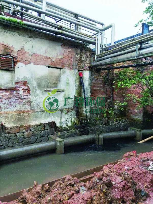 廣州海珠有污水直排河涌，3名涉案人員被行政拘留(圖1)